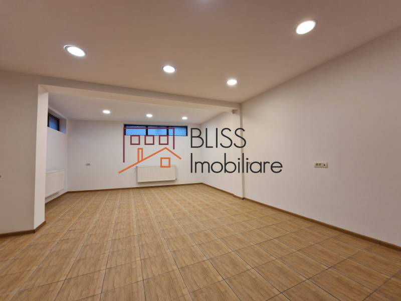 Spatiu Birouri In Piata Muncii-Decebal | Bliss Imobiliare / Photo 10 - BLISS Imobiliare