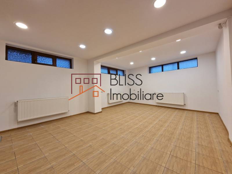 Spatiu Birouri In Piata Muncii-Decebal | Bliss Imobiliare / Photo 11 - BLISS Imobiliare