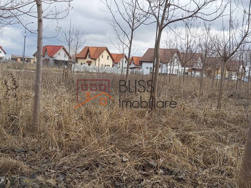 Photo 3 - BLISS Imobiliare
