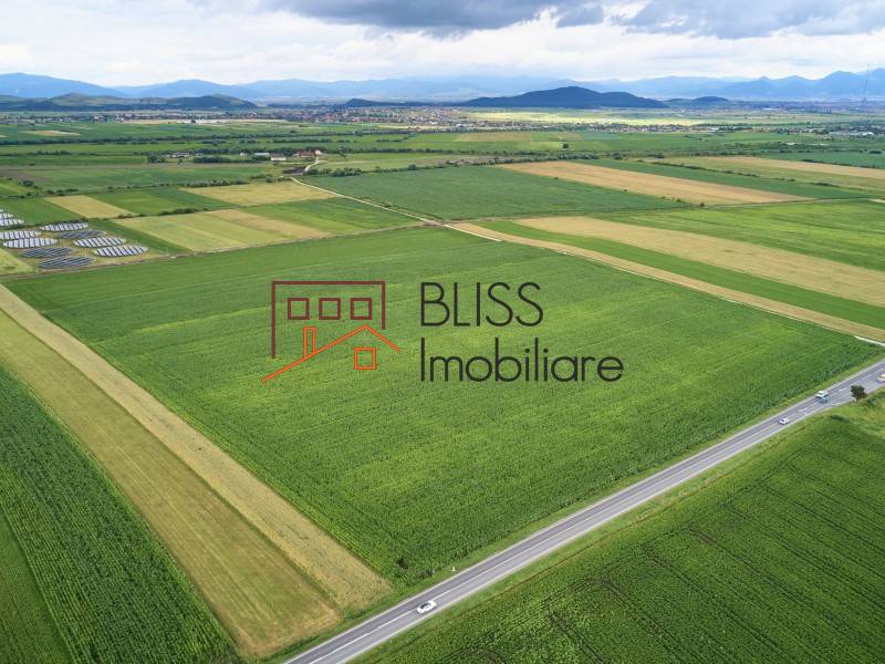 Photo 8 - BLISS Imobiliare