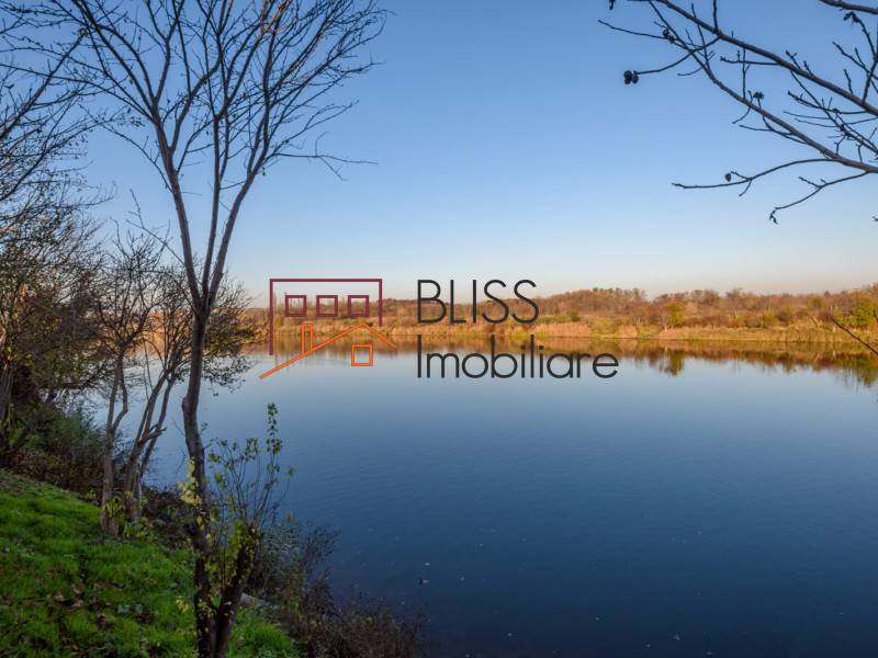 Furnished 2-Bedroom Villa With Lake View And Spacious Yard In Buftea, Bucharest / Ilfov | Bliss Imobiliare / Photo 21 - BLISS Imobiliare