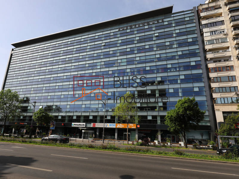 Office space for Rent Piata Victoriei, Bucharest - ID:120660 | Bliss Imobiliare / Photo 4 - BLISS Imobiliare