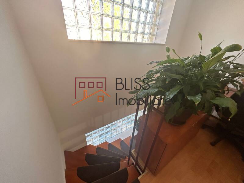 Casa | Bliss Imobiliare / Photo 17 - BLISS Imobiliare