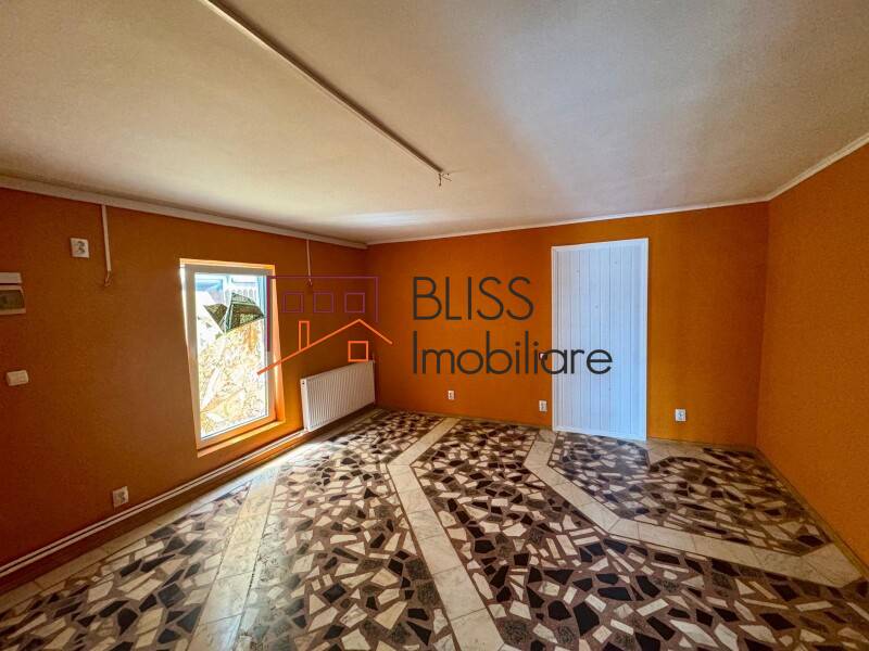 8-Bedroom Villa Pipera South, Bucharest / Ilfov | Bliss Imobiliare / Photo 3 - BLISS Imobiliare