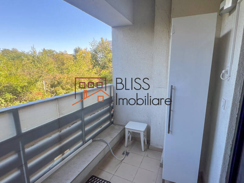 Comfort & Family Facilities, Bucharest | Bliss Imobiliare / Photo 16 - BLISS Imobiliare
