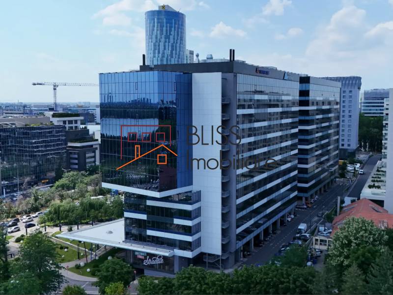 Spatiu De Birouri All-inclusive | Bliss Imobiliare / Photo 3 - BLISS Imobiliare