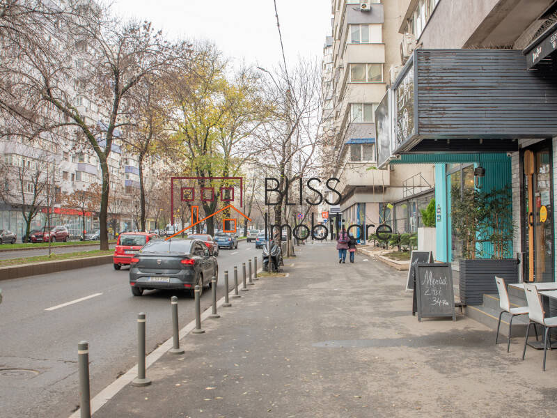 1-Bedroom Apartment, 70 Sqm, Artistic Atmosphere In Piata Victoriei, Bucharest | Bliss Imobiliare / Photo 30 - BLISS Imobiliare
