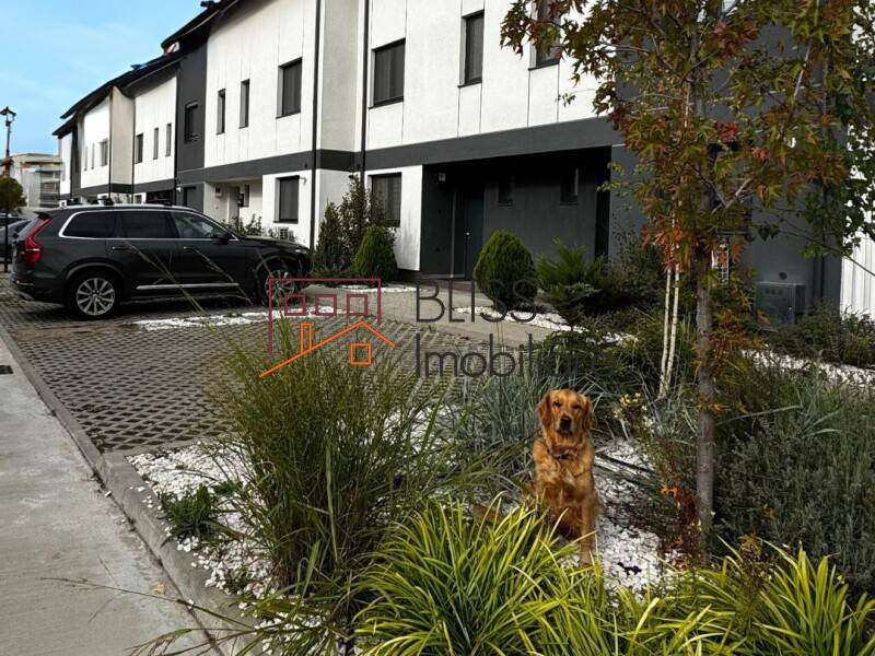 Photo 4 - BLISS Imobiliare