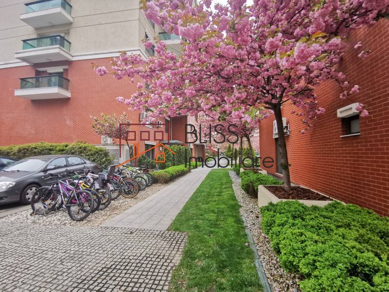 Photo 11 - BLISS Imobiliare