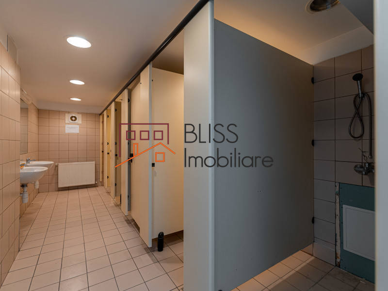 Production Facility With Offices Bucharest, Bucharest | Bliss Imobiliare / Photo 33 - BLISS Imobiliare