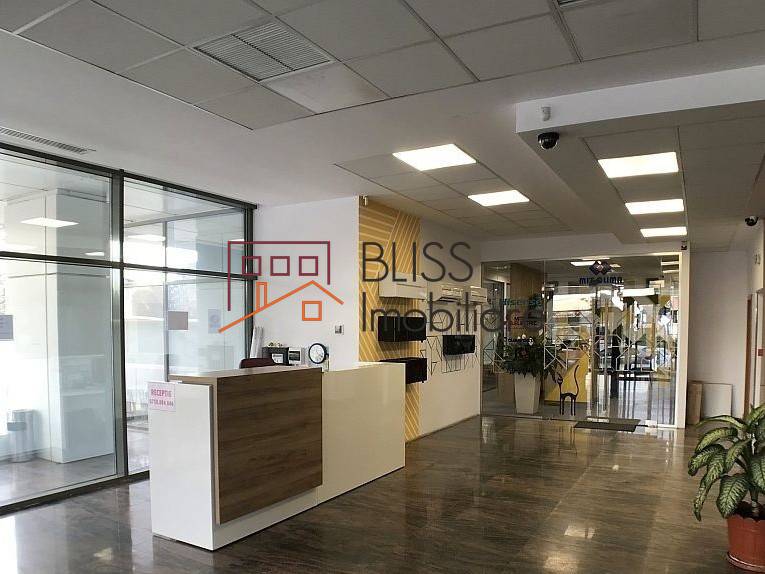 Spatiu De Birouri | Bliss Imobiliare / Photo 4 - BLISS Imobiliare